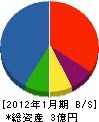 千葉鳶 貸借対照表 2012年1月期