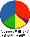 沖阪産業 貸借対照表 2010年3月期