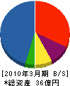 菱星システム 貸借対照表 2010年3月期