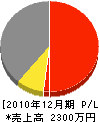 浅倉電気商会 損益計算書 2010年12月期