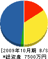 泰和電建 貸借対照表 2009年10月期