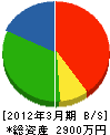 成田建設 貸借対照表 2012年3月期