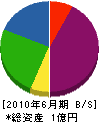 東亜電気工業 貸借対照表 2010年6月期