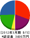 藤良 貸借対照表 2012年3月期
