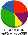小松園 貸借対照表 2010年5月期