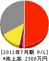 相澤建設 損益計算書 2012年7月期
