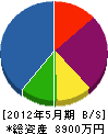 藤沢材木店 貸借対照表 2012年5月期