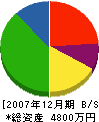 辻組 貸借対照表 2007年12月期