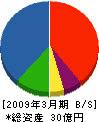渡辺物産 貸借対照表 2009年3月期