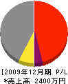 井島瓦工業所 損益計算書 2009年12月期