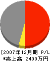 串本建設 損益計算書 2007年12月期