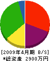 曽村工務店 貸借対照表 2009年4月期