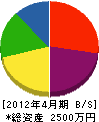 静岡環境サービス 貸借対照表 2012年4月期
