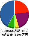 松尾左建 貸借対照表 2009年6月期