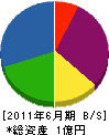 田村興業 貸借対照表 2011年6月期