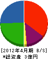 大槻ホーム 貸借対照表 2012年4月期