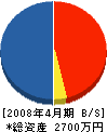 ヤマシン企画 貸借対照表 2008年4月期
