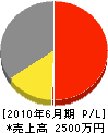 井芹総合開発 損益計算書 2010年6月期