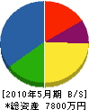 ヒダ電気 貸借対照表 2010年5月期