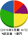 丸田工業 貸借対照表 2010年8月期