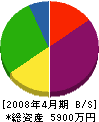 日新技研 貸借対照表 2008年4月期