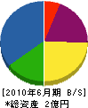 坂平組 貸借対照表 2010年6月期