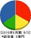 興亜土木 貸借対照表 2010年6月期