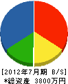 篠田工務店 貸借対照表 2012年7月期