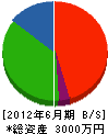 大塚建設 貸借対照表 2012年6月期