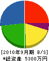 ヨシカワ 貸借対照表 2010年9月期