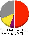 矢田工業 損益計算書 2012年5月期