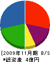 ＊田重機建設 貸借対照表 2009年11月期