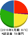 日ノ丸産業 貸借対照表 2010年6月期