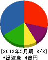 伸栄工事 貸借対照表 2012年5月期