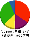 曽村工務店 貸借対照表 2010年4月期