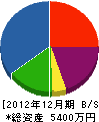 日電 貸借対照表 2012年12月期
