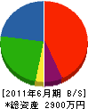 サエキ 貸借対照表 2011年6月期
