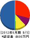 新潟設備センター 貸借対照表 2012年6月期
