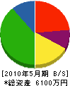 大成鉄工所 貸借対照表 2010年5月期