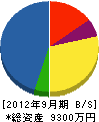 武藤道路 貸借対照表 2012年9月期