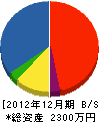 齋藤設備 貸借対照表 2012年12月期