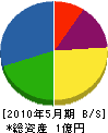 シモカワ 貸借対照表 2010年5月期