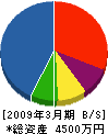 斉藤建築 貸借対照表 2009年3月期