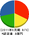 大阪旭電機 貸借対照表 2011年6月期
