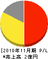 太田石材店 損益計算書 2010年11月期