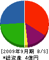 タケザワ 貸借対照表 2009年9月期
