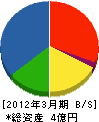和歌山建材リサイクルセンター 貸借対照表 2012年3月期