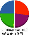 沼田クリーンサービス 貸借対照表 2010年3月期