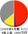 渡辺建設 損益計算書 2009年6月期