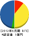 上村開発 貸借対照表 2012年6月期